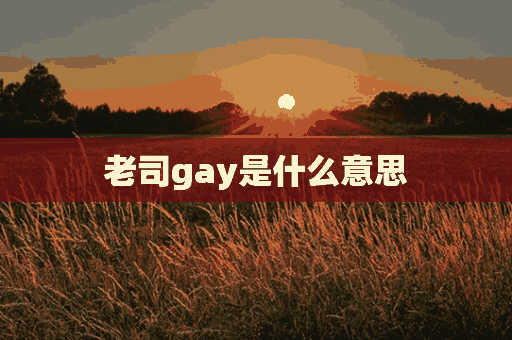 老司gay是什么意思